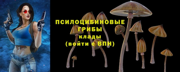 стафф Алзамай