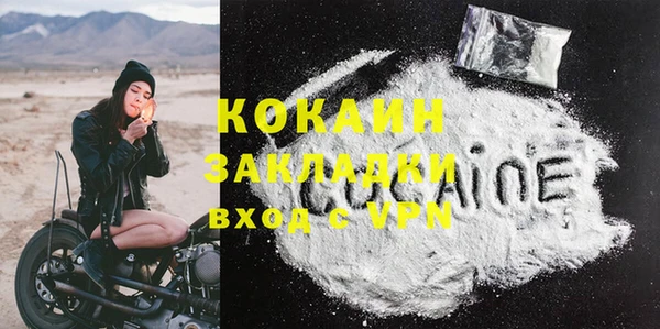 стафф Алзамай