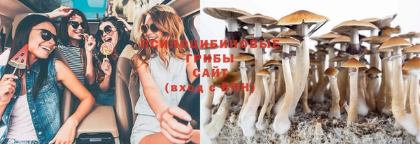 стафф Алзамай