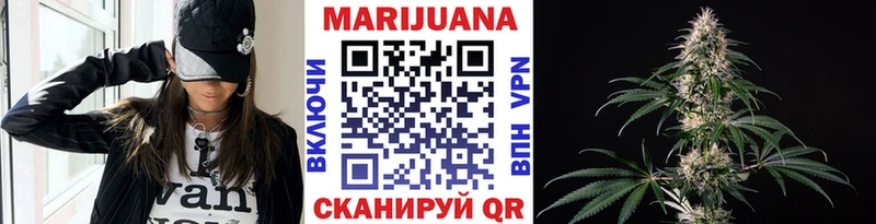 Шишки марихуана семена как найти Вихоревка